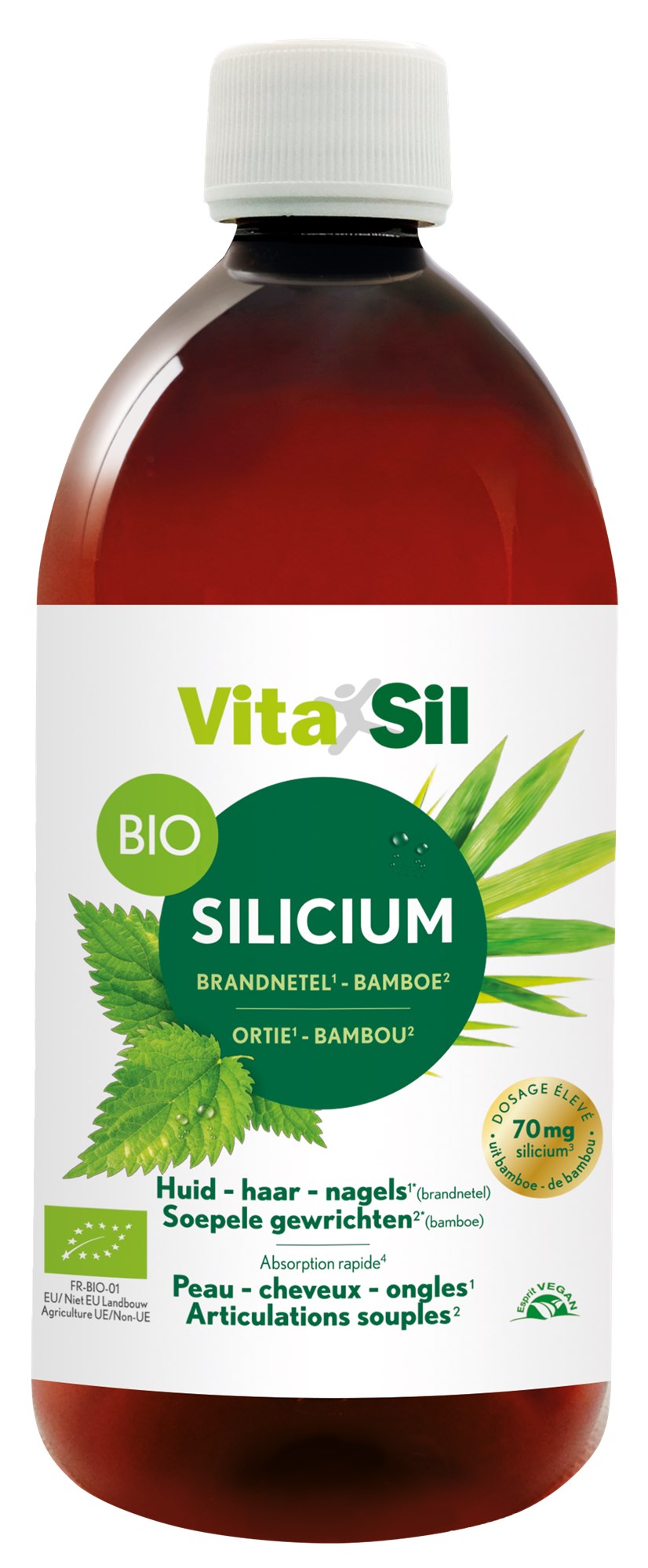 Bio Silicium